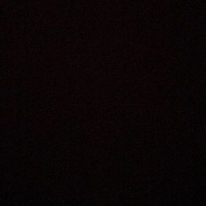 Meet your Posher, Britney